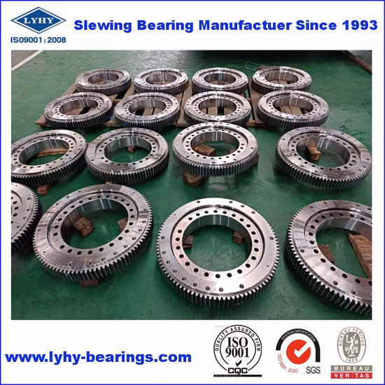 Small Size Slewing Ring Bearing for Truck Mounted Crane