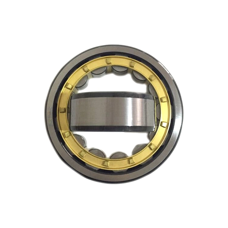 Hot Selling Best Price Cylindrical Roller Bearing N 312 N 313 N314 N 315 Standard Size Roller Bearing Made in China