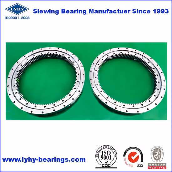 Small Size Slewing Ring Bearing for Truck Mounted Crane