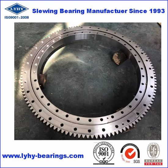 Small Size Slewing Ring Bearing for Truck Mounted Crane
